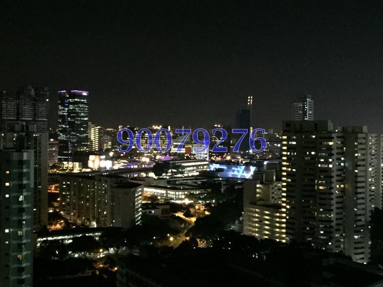 Ivory Heights (D22), Condominium #121976782